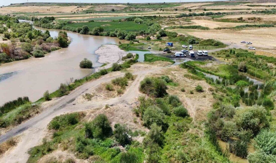 Diyarbakır’da serinlemek için girdikleri Dicle Nehri’nde boğulma tehlikesi geçiren kardeşini