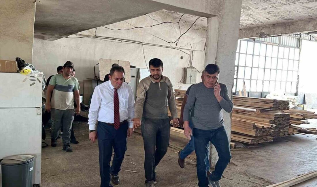 Kars Belediye Başkanı Prof. Dr. Ötüken Senger, kentteki sanayi esnafını