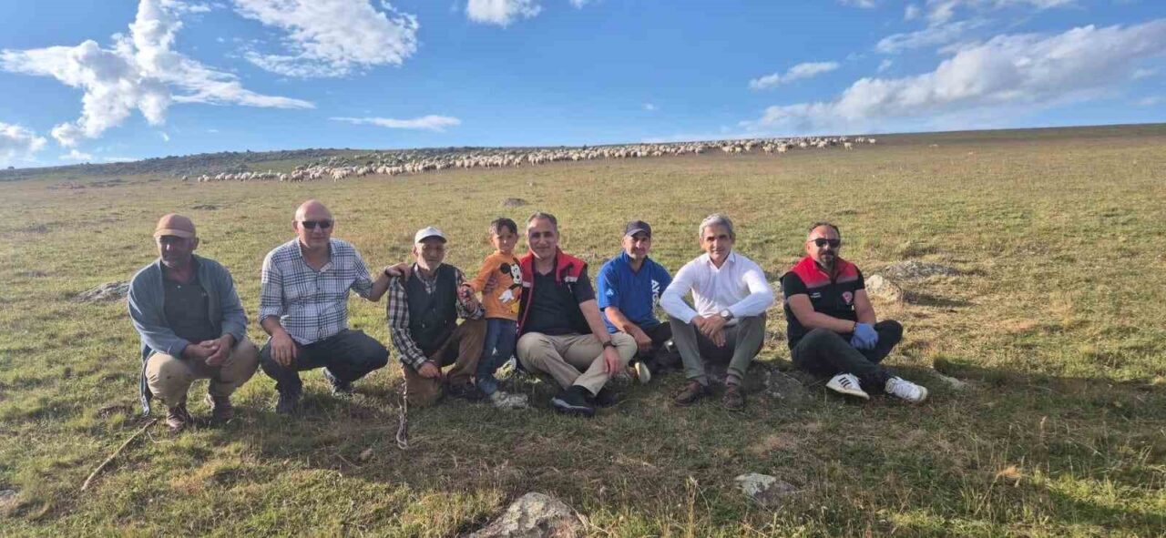 Kars Tarım ve Orman Müdürü Enver Aydın, 2 bin 600