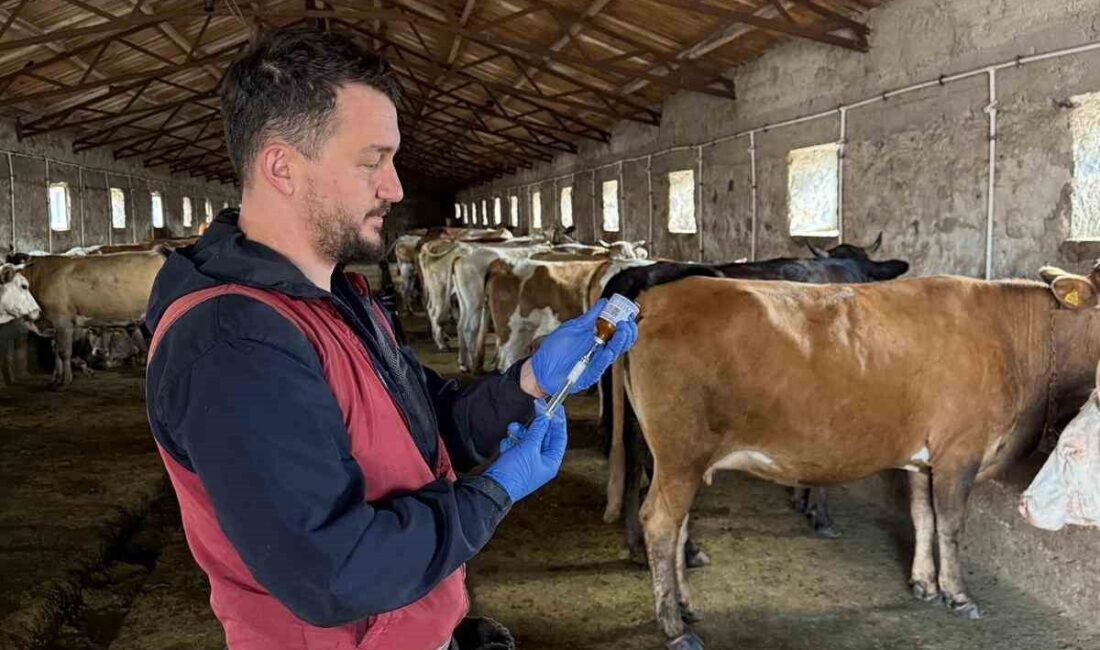 Doğu Anadolu’nun önemli hayvancılık merkezlerinden birisi olan Kars’ta, şap hastalığına