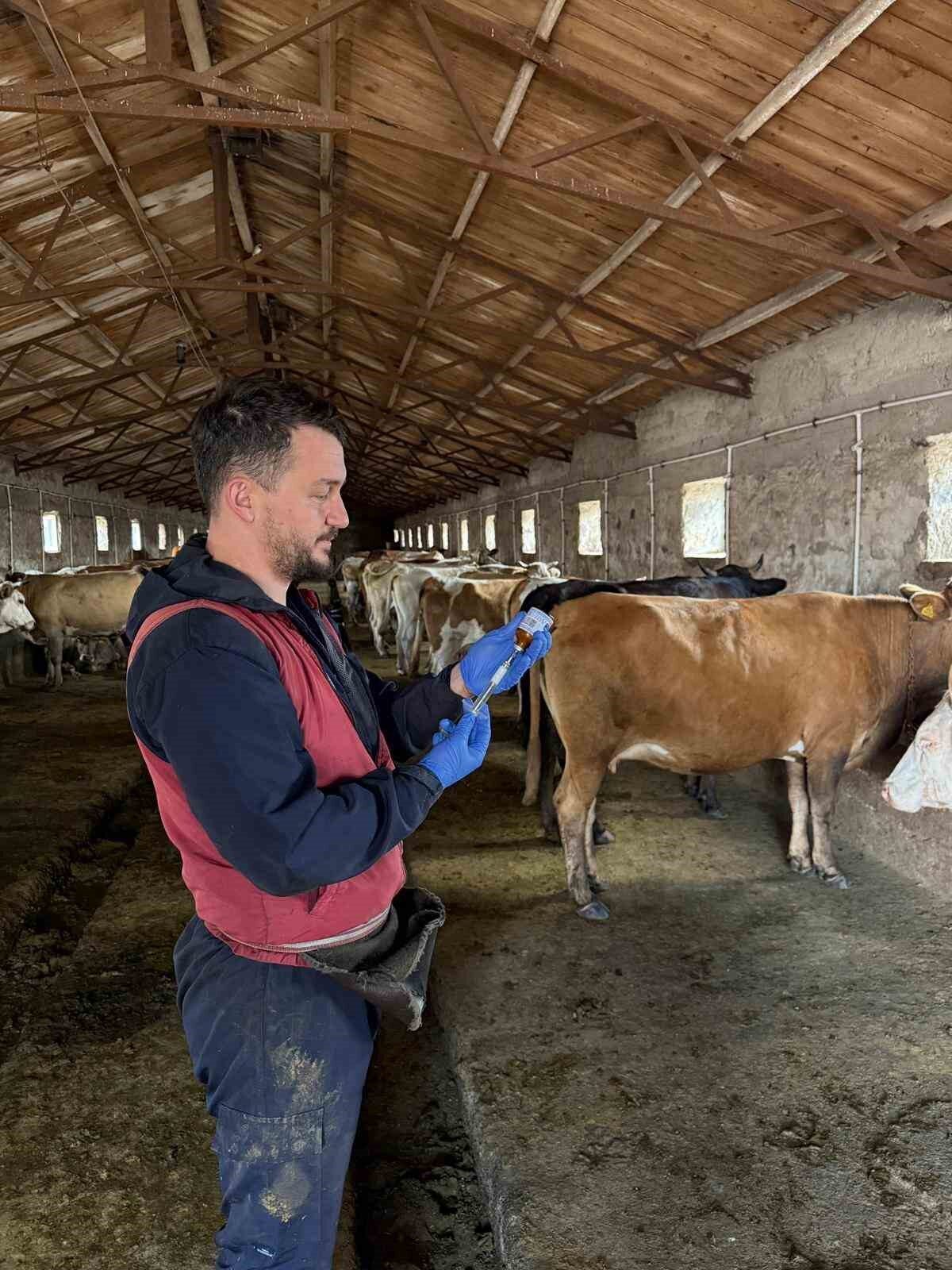 Doğu Anadolu’nun önemli hayvancılık merkezlerinden birisi olan Kars’ta, şap hastalığına