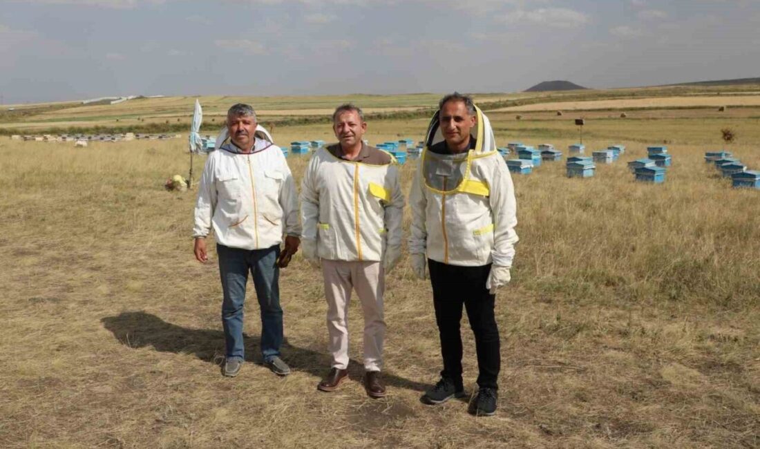 Kars’ta 2025 yılı için bin 800 ton bal rekoltesi bekleniyor.
