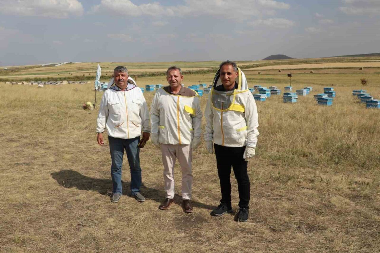 Kars’ta 2025 yılı için bin 800 ton bal rekoltesi bekleniyor.