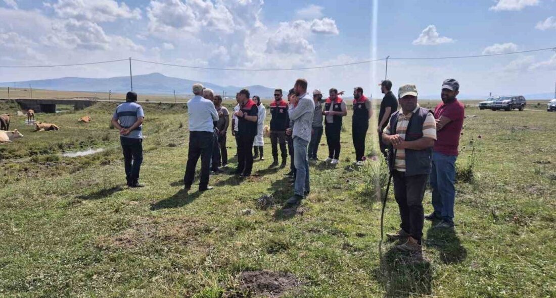 Kars’ta, hayvan sağlığını korumak ve olası hastalıkların önüne geçmek amacıyla