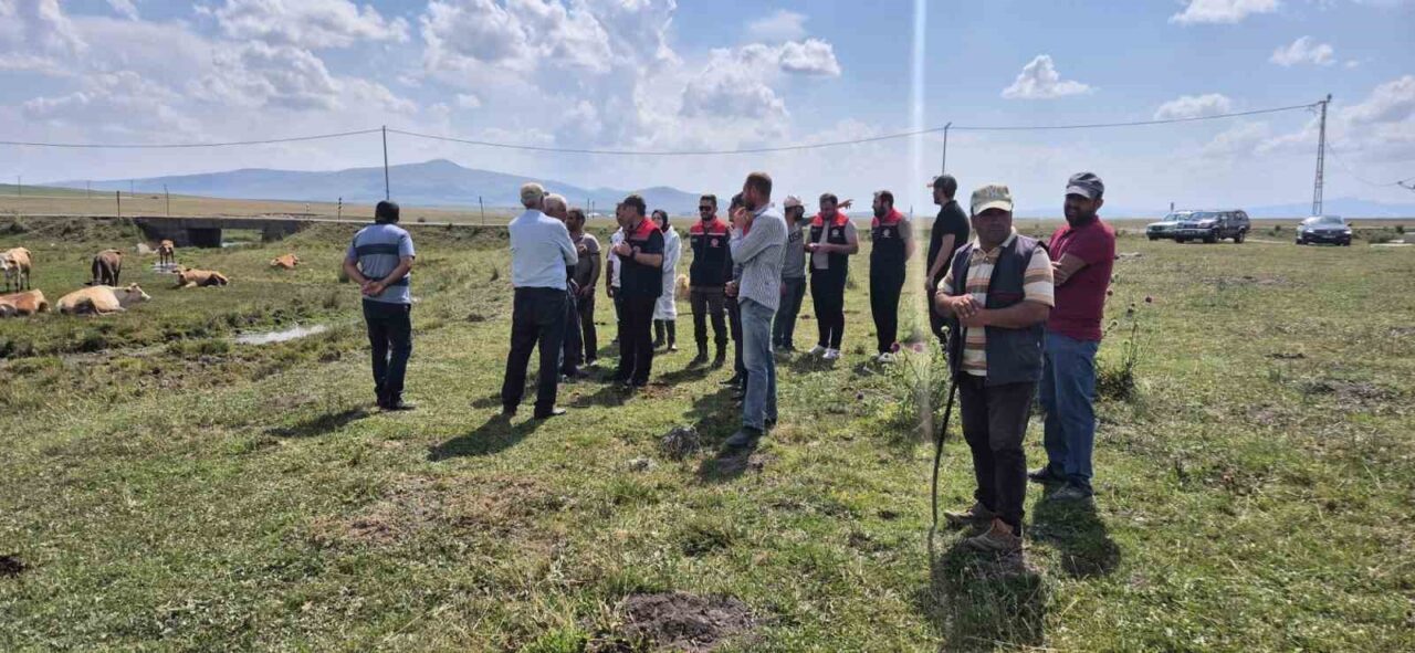Kars’ta, hayvan sağlığını korumak ve olası hastalıkların önüne geçmek amacıyla