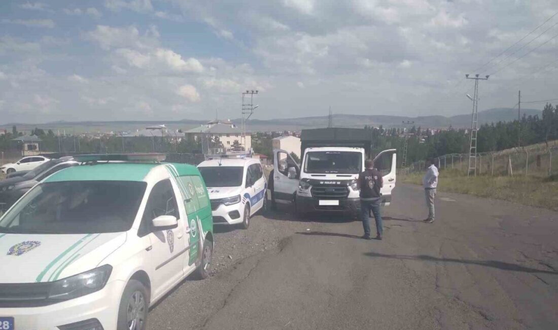 Kars Emniyet Müdürlüğü ekipleri, şehir genelinde asayiş ve trafik uygulamalarına