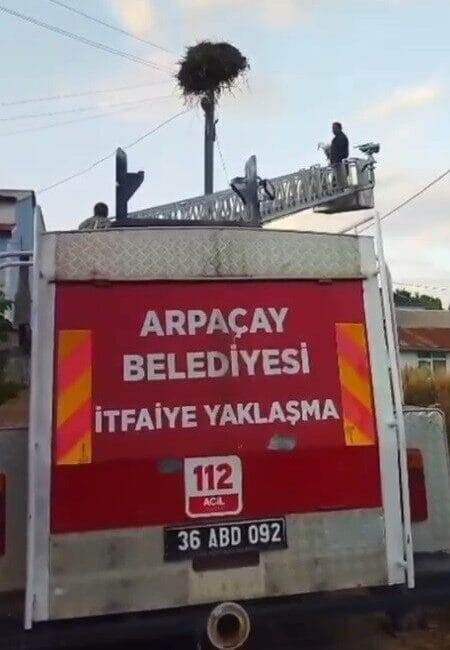 Kars’ta yuvasından düşen yavru leylek, itfaiye ekiplerince yeniden yuvasına konuldu.