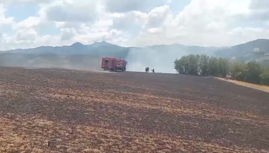 Samsun’un Bafra ilçesi Derbent Mahallesi’nde, elektrik tellerine çarpan bir kartalın