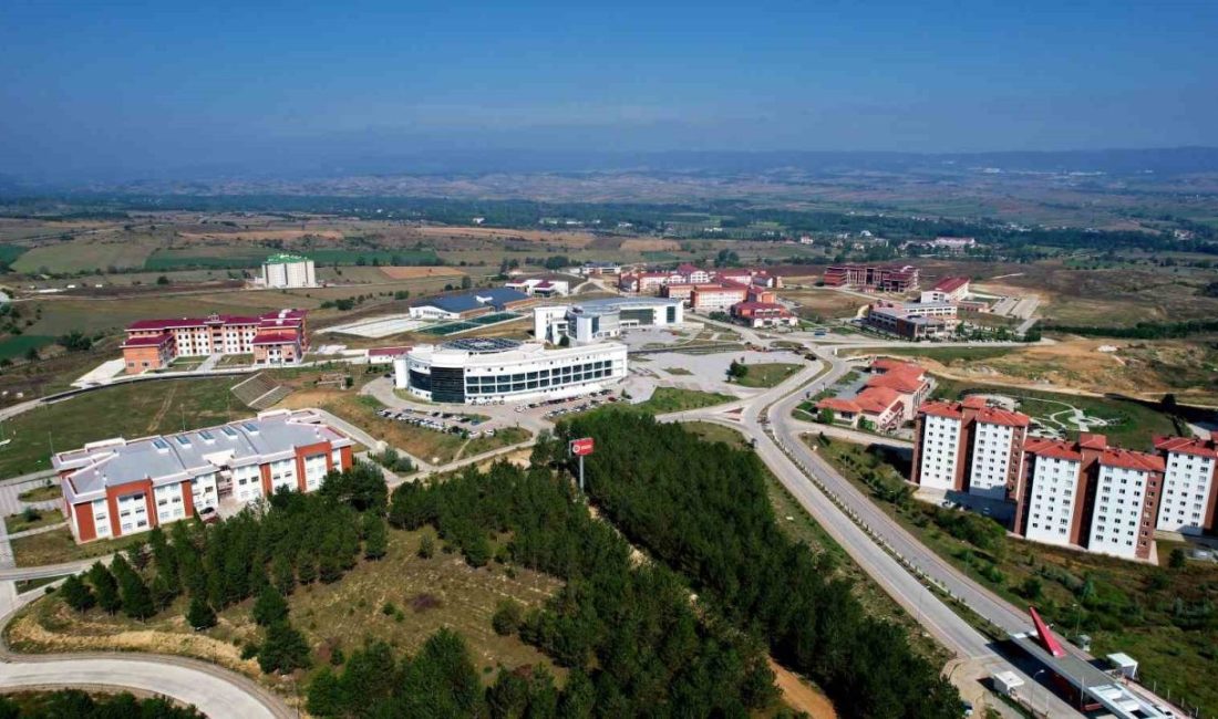 Kastamonu Üniversitesi Araç Rafet Vergili Meslek Yüksekokulu tarafından hazırlanan sosyal