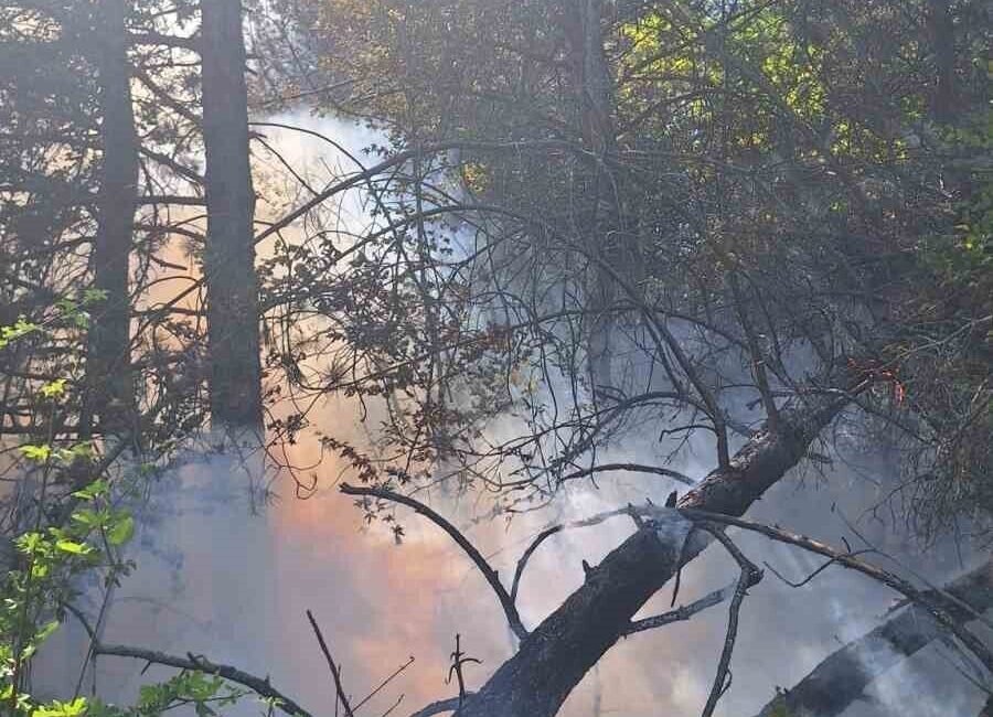 Kastamonu’nun Azdavay ilçesinde çıkan orman yangınında 2 dekar alan zarar