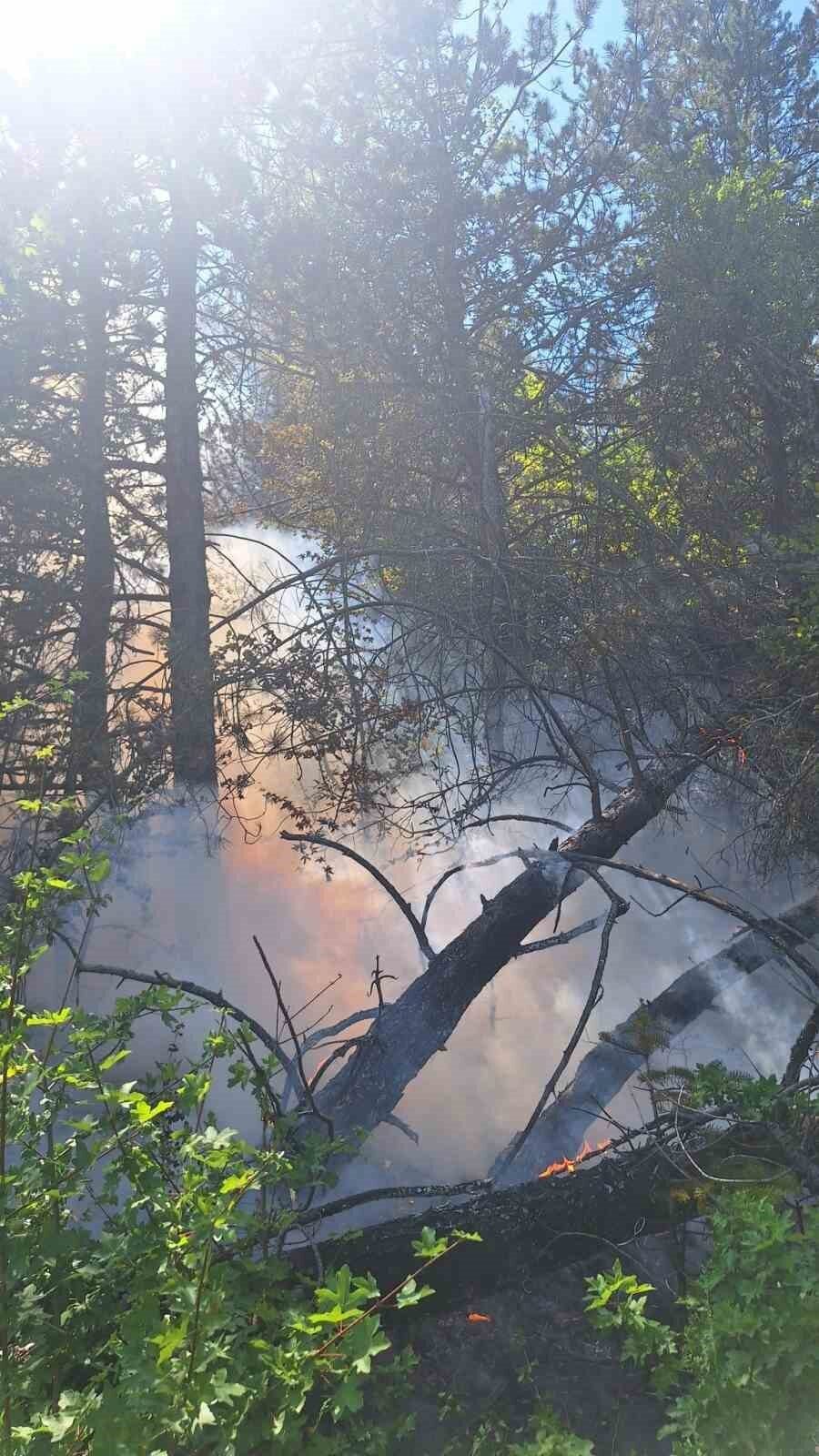 Kastamonu’nun Azdavay ilçesinde çıkan orman yangınında 2 dekar alan zarar