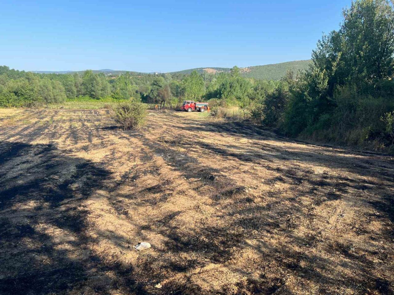 Kastamonu’nun Doğanyurt ilçesinde elektrik tellerinin kopması sonucu çıkan orman yangını,
