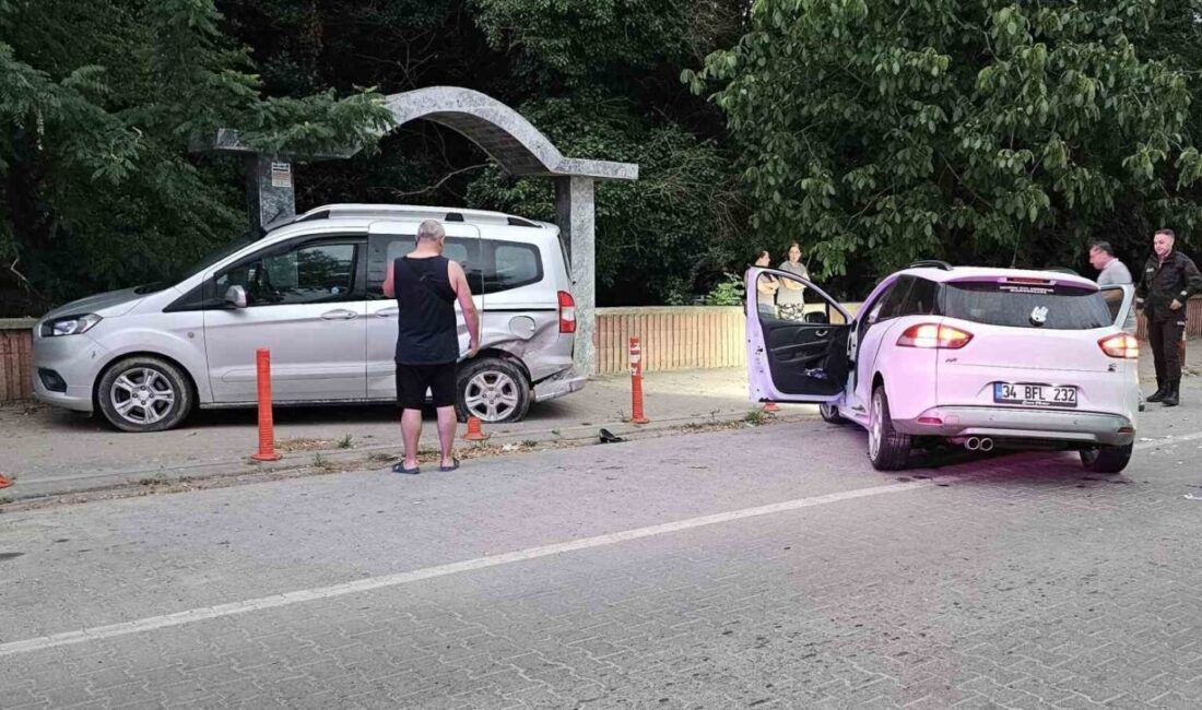 Kastamonu’nun Cide ilçesinde otomobilin park halindeki hafif ticari araca çarpması