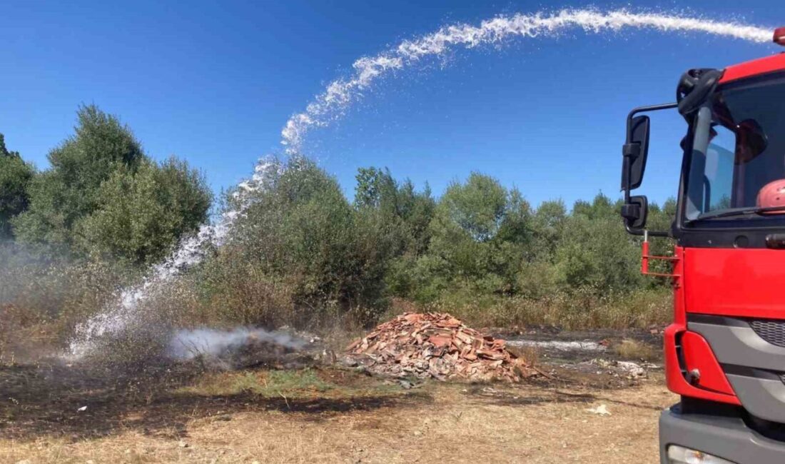 Samsun’un Kavak ilçesinde küçük çaplı bir ot yangını çıktı. Yangın,