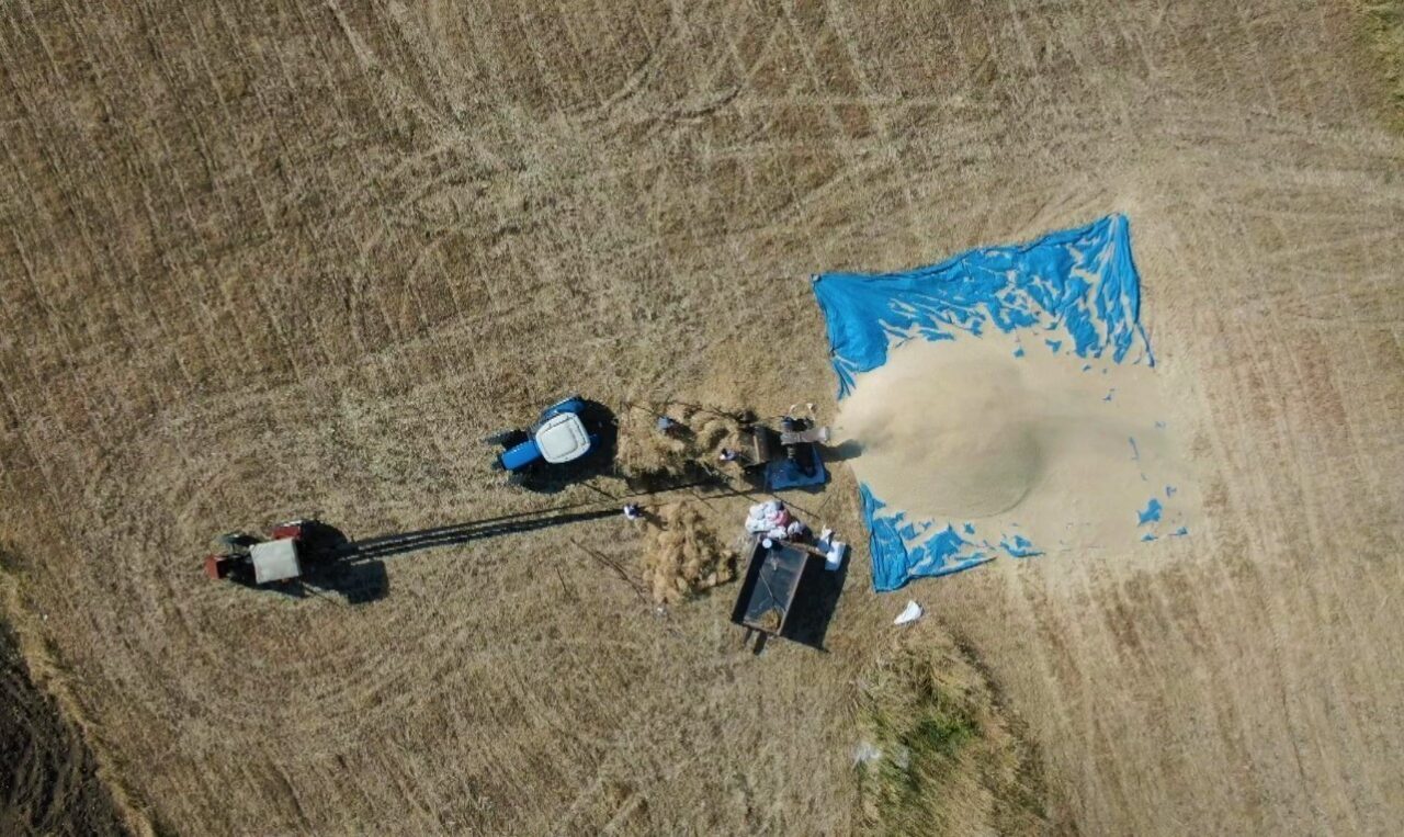 Erzincan’da çiftçiler kavurucu sıcaklarda dondurucu kış ayları için hazırlık yapmaya