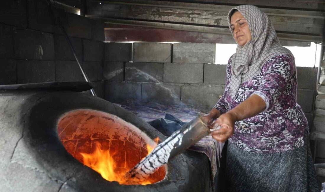HATAY (İHA) – Hatay’da emekçi kadınlar, 45 dereceyi bulan kavurucu