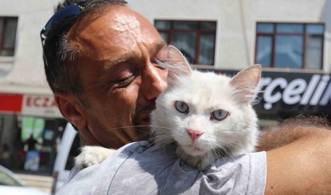 Kocaeli’nin Gölcük ilçesinde yaşayan Zülfi Satar, 22 Haziran’da kaybolan “Pars”
