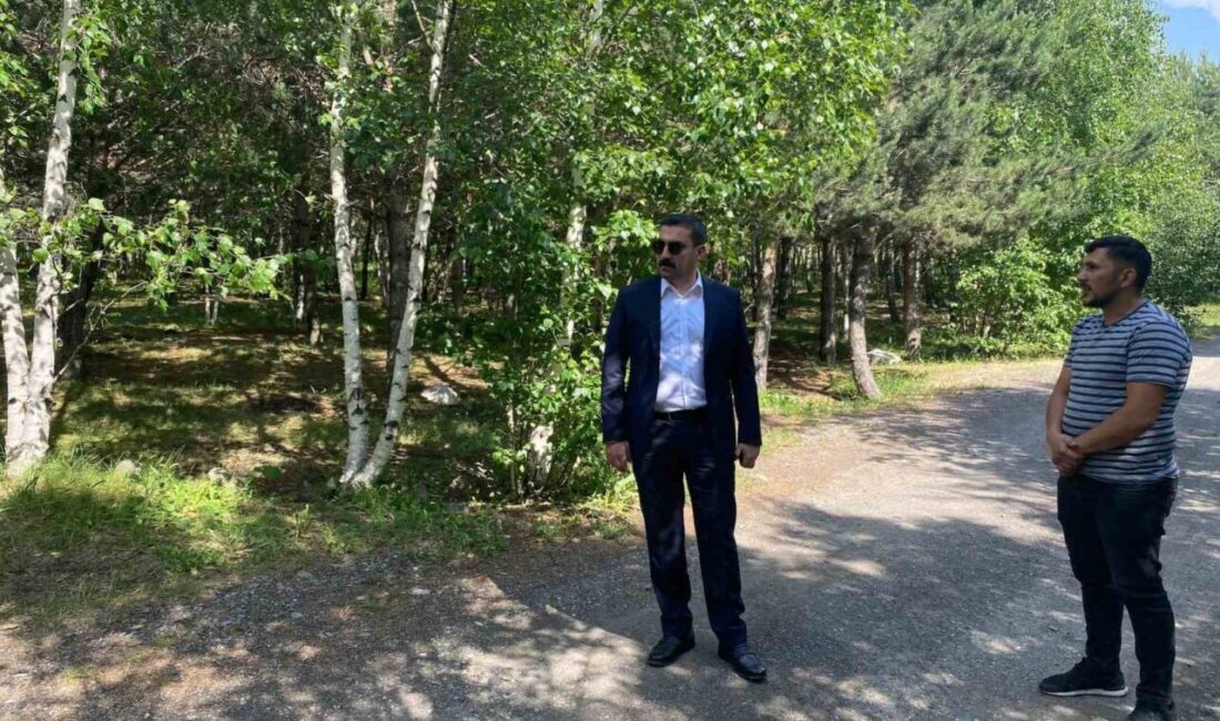 Arpaçay Kaymakamı Akköz, Çıldır Gölü Mesire Alanı’nda bir takım incelemelerde