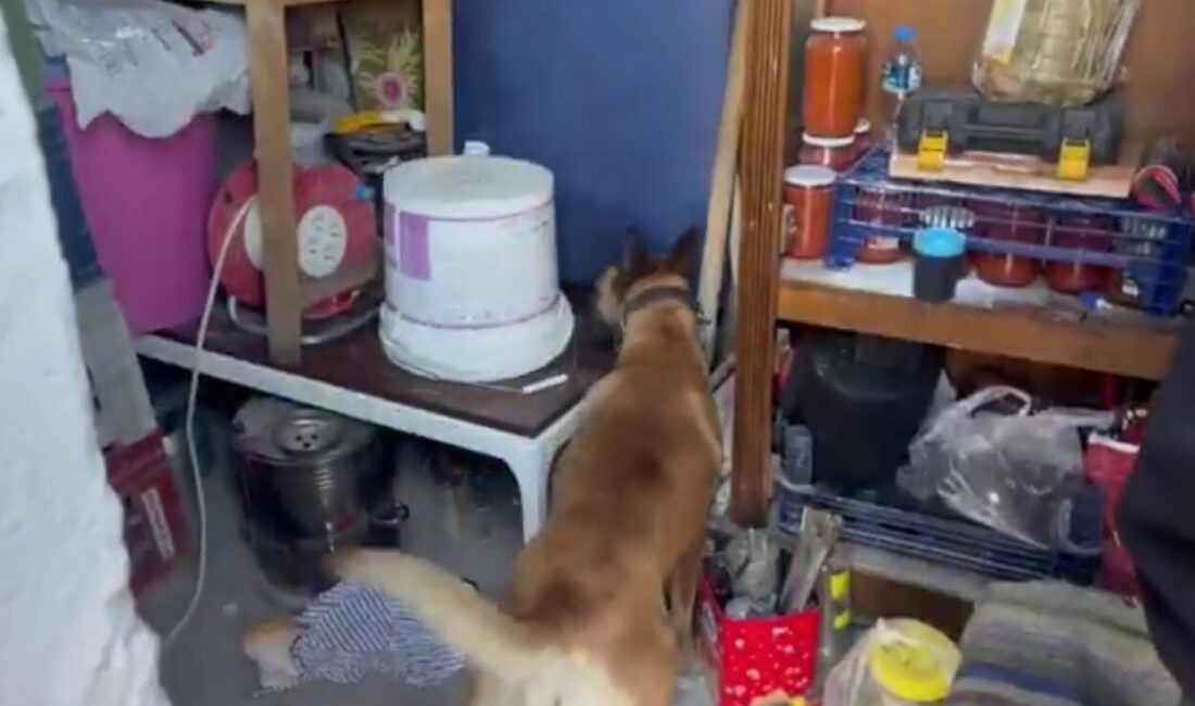 Kayseri’de polis ekipleri tarafından düzenlenen uyuşturucu operasyonunda 1 kilo 550