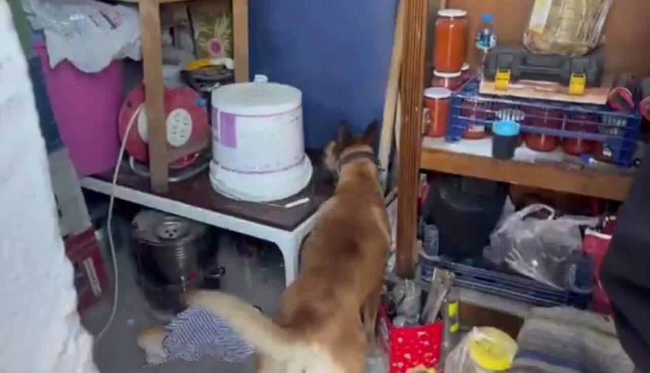 Kayseri’de polis ekipleri tarafından düzenlenen uyuşturucu operasyonunda 1 kilo 550