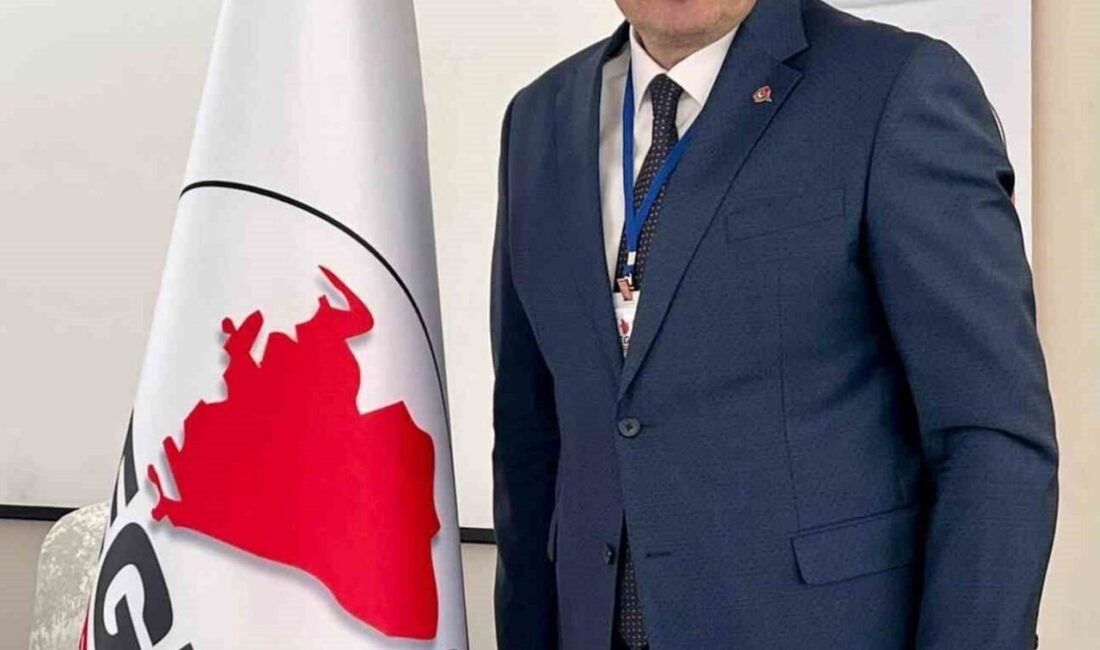 Türkiye Gazeteciler Konfederasyonu Genel Başkan Yardımcısı, Ege Gazeteciler Federasyonu Genel