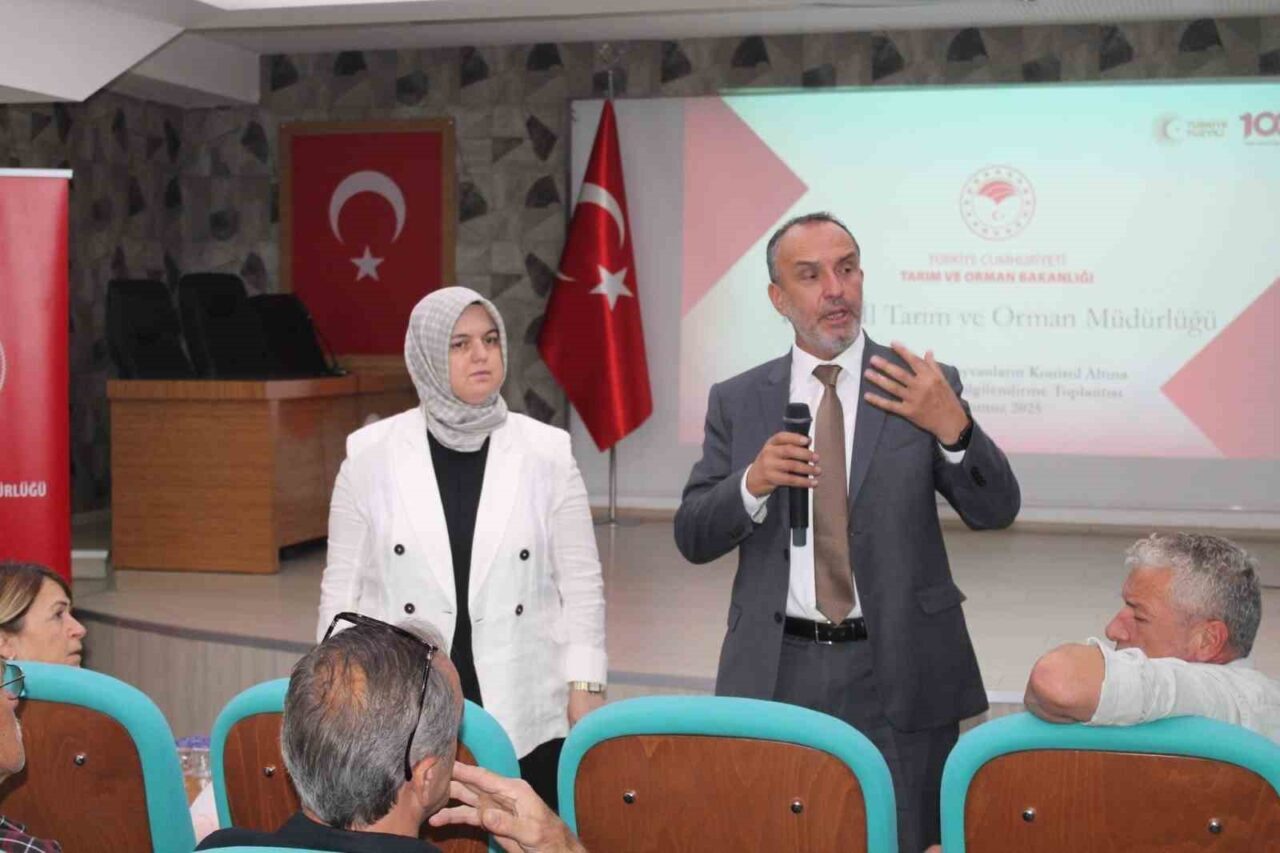 Düzce’de kedi-köpek kayıt sisteminin etkin bir şekilde yürütülmesi amacıyla, kamu