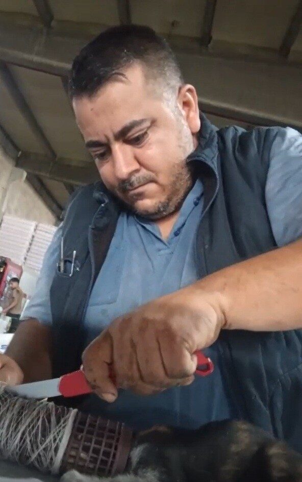 Gaziantep’te sabah saatlerinde iş yerine gelen Nevzat Çağan, miyavlamakta sesi