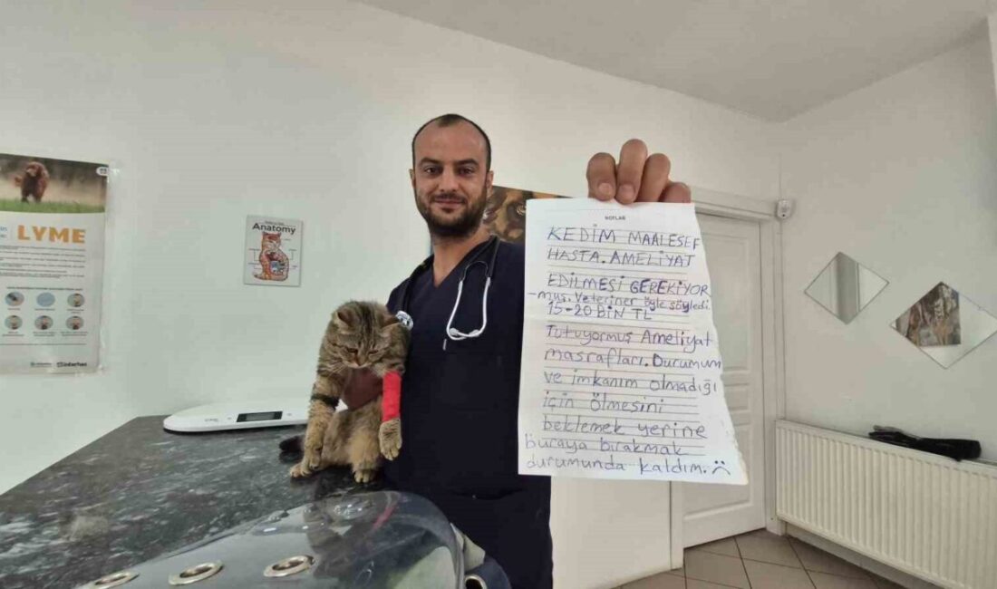 DÜZCE (İHA) – Düzce’de sabah kliniğini açmaya gelen Veteriner Hekim