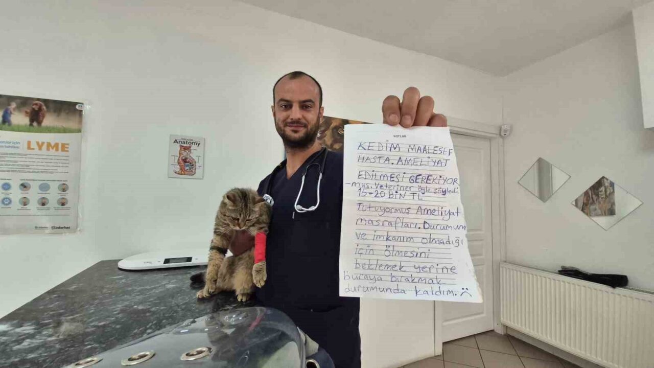 DÜZCE (İHA) – Düzce’de sabah kliniğini açmaya gelen Veteriner Hekim