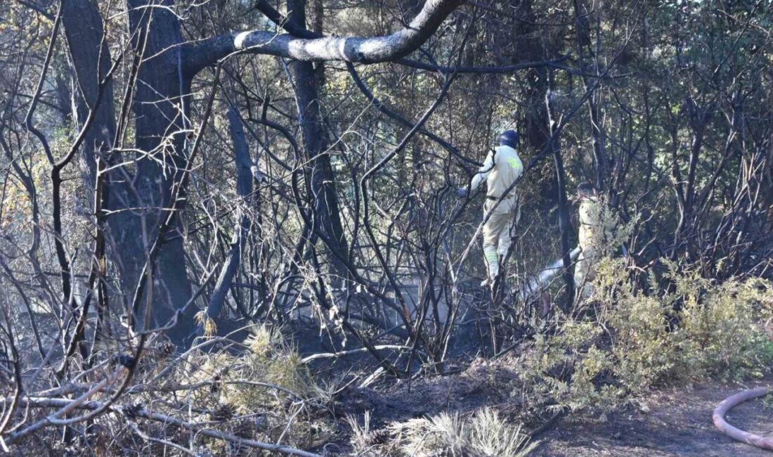 İzmir’in Kemalpaşa ilçesinde seyir halinde yanmaya başlayan tırdan ormanlık alana