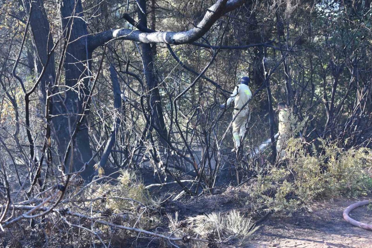 İzmir’in Kemalpaşa ilçesinde seyir halinde yanmaya başlayan tırdan ormanlık alana