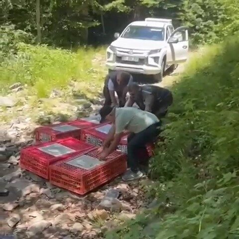 Doğa Koruma ve Milli Parklar Müdürlüğü, Kırım Kongo Kanamalı Ateşi