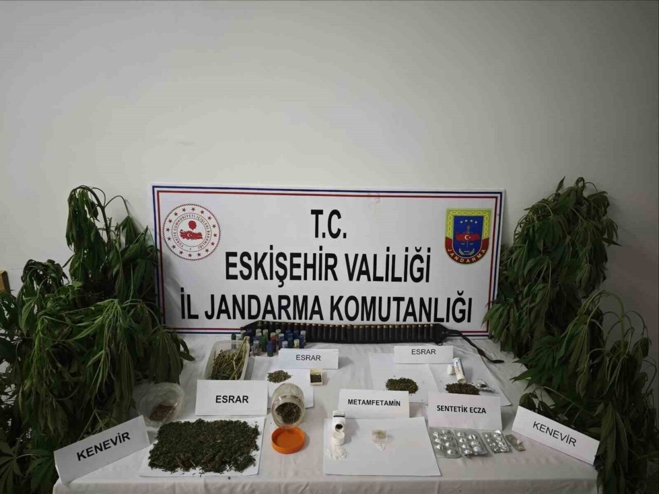 Eskişehir’de jandarma ekiplerince İnönü İlçesi’nde kenevir bitkisi ekimi yapılan ikamete