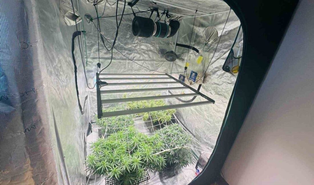 Karaman’da evin salonuna kurdukları kamp çadırını gizli seraya çevirerek iklimlendirme