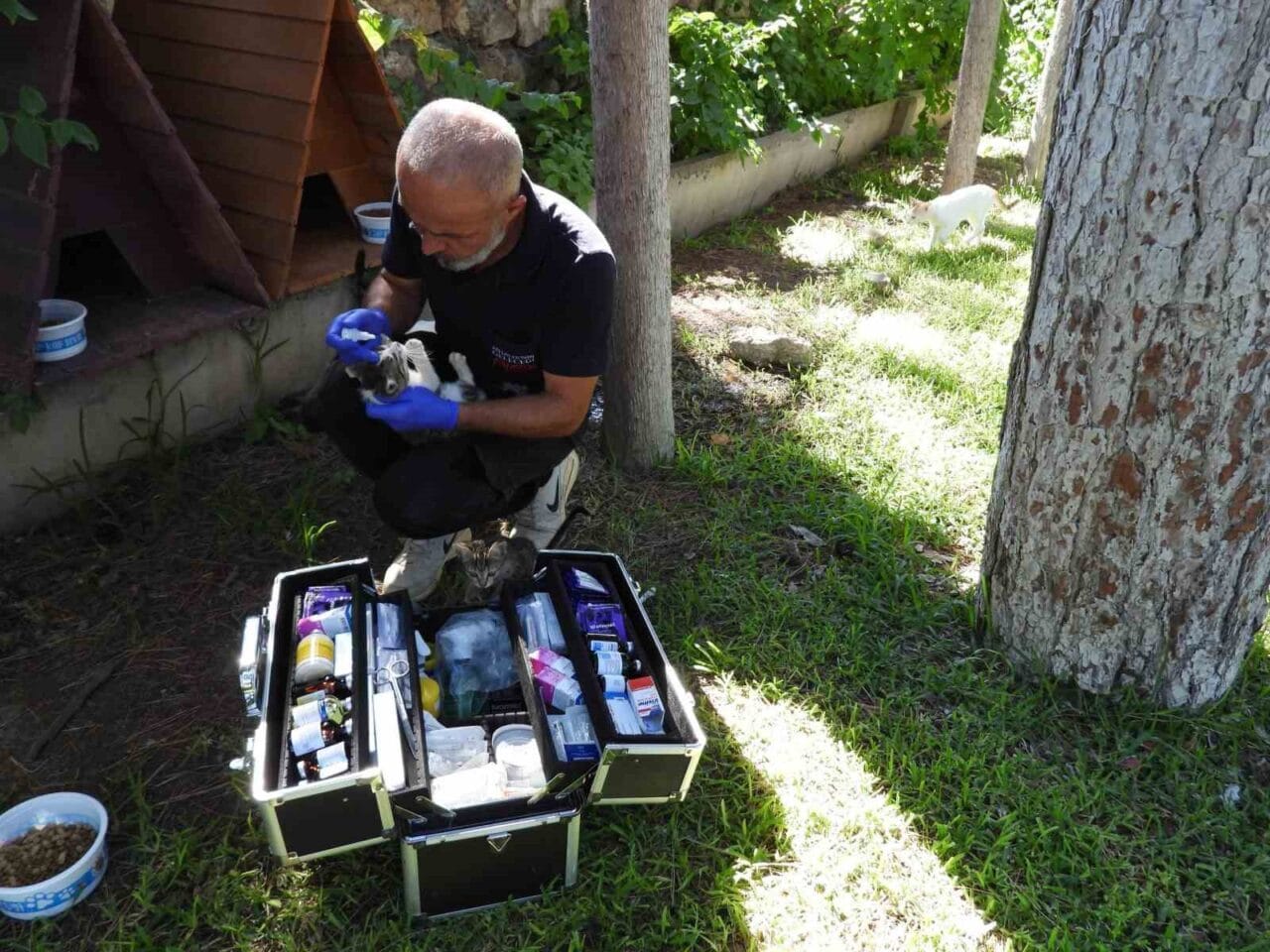 Kepez Belediyesi, yaz sıcaklarının etkisini artırdığı bu günlerde sokak hayvanlarının