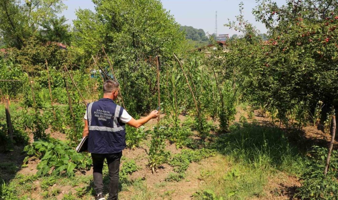 SASKİ, kuraklığın su kaynakları üzerindeki olumsuz etkilerini azaltmak için şehir