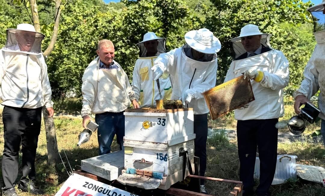 Çaycuma’da kestane balı hasadı, Kaymakam Adem Kaya’nın katılımıyla düzenlenen etkinlikle