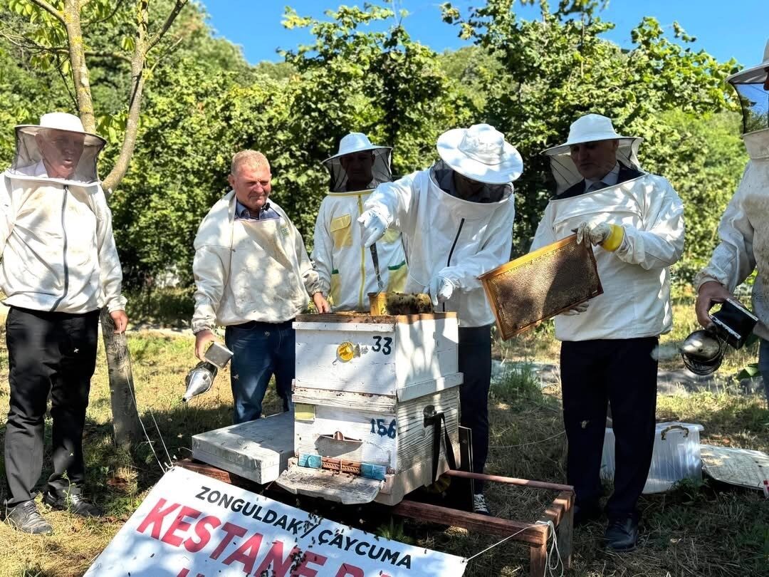 Çaycuma’da kestane balı hasadı, Kaymakam Adem Kaya’nın katılımıyla düzenlenen etkinlikle