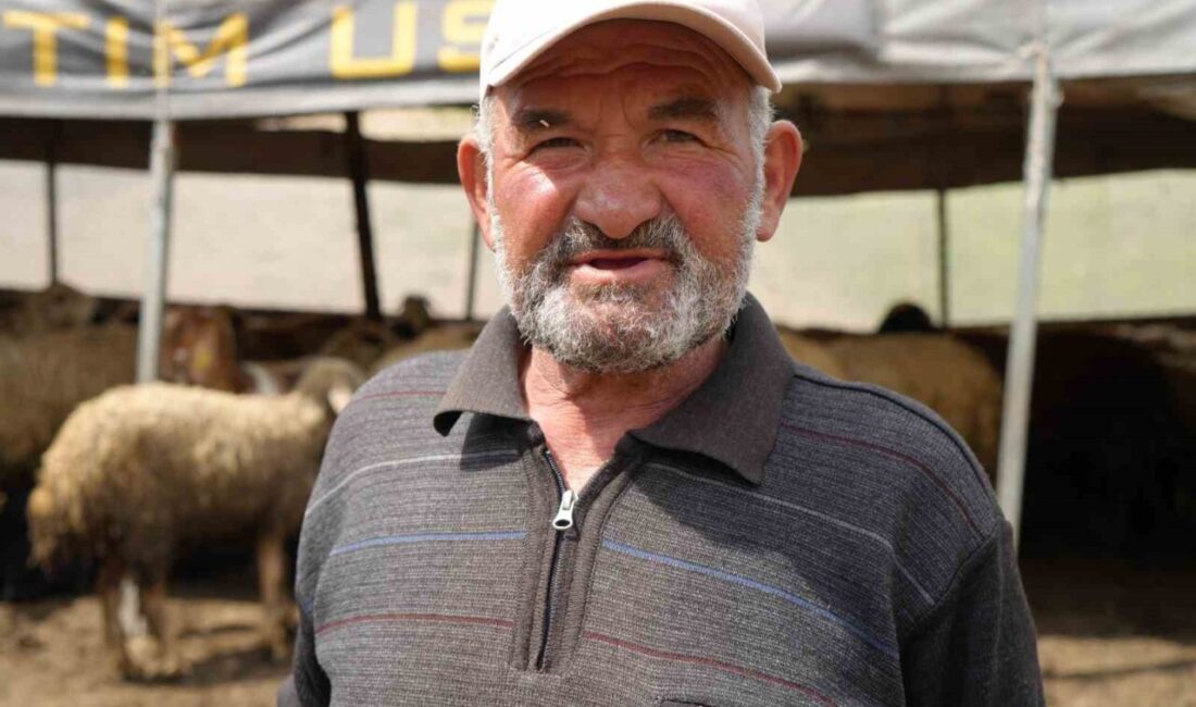 Kırıkkale’nin Bahşılı ilçesinde küçükbaş hayvanlarını otlatmak için yaylaya giden adam,