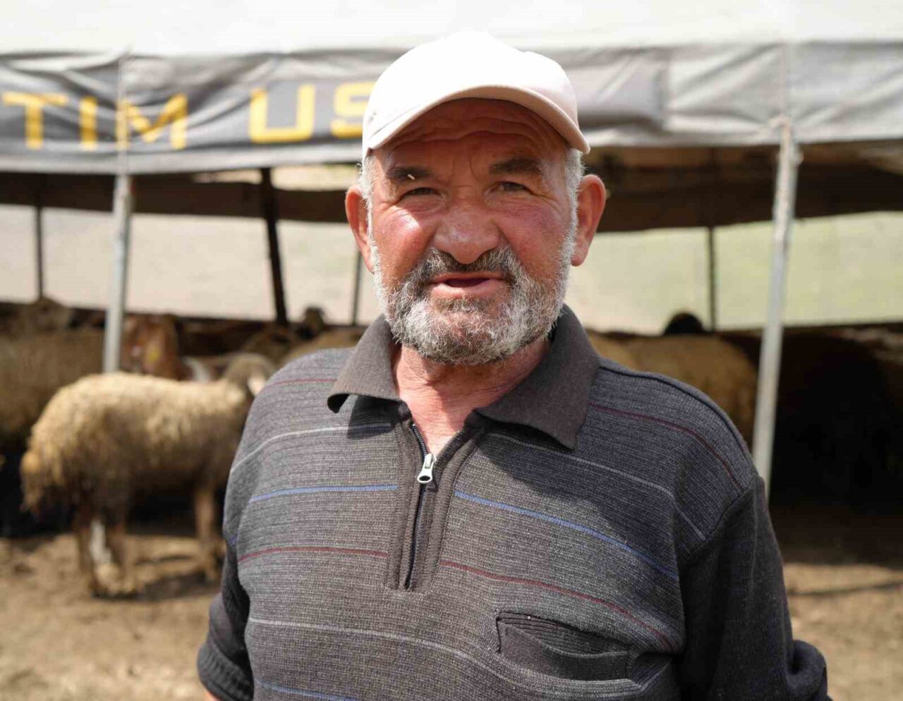 Kırıkkale’nin Bahşılı ilçesinde küçükbaş hayvanlarını otlatmak için yaylaya giden adam,