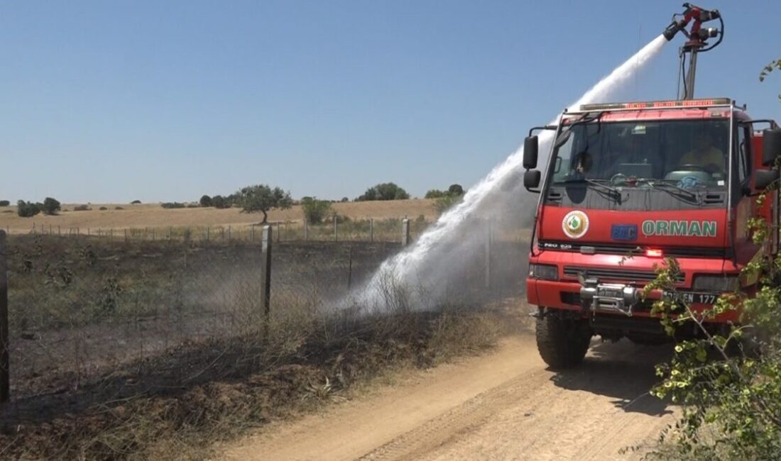 Kırklareli’nde çıkan yangında 20 dekar ceviz bahçesi zarar gördü. Alınan