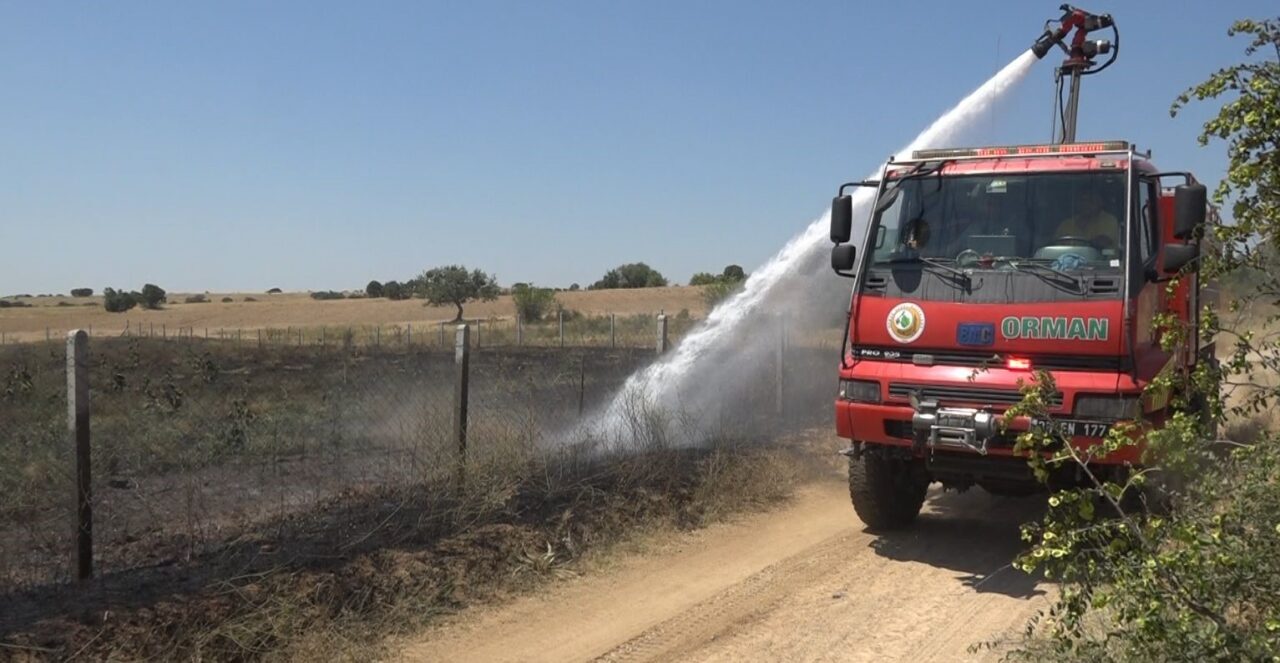 Kırklareli’nde çıkan yangında 20 dekar ceviz bahçesi zarar gördü. Alınan