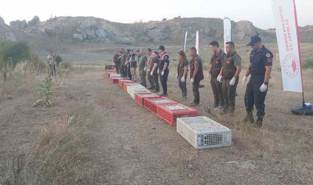 Kırklareli’nde Doğa Koruma ve Milli Parklar İl Müdürlüğü tarafından doğaya