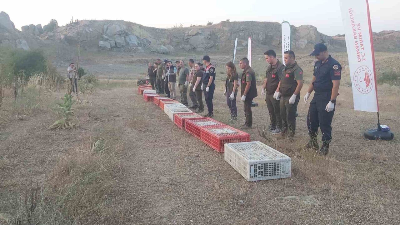 Kırklareli’nde Doğa Koruma ve Milli Parklar İl Müdürlüğü tarafından doğaya