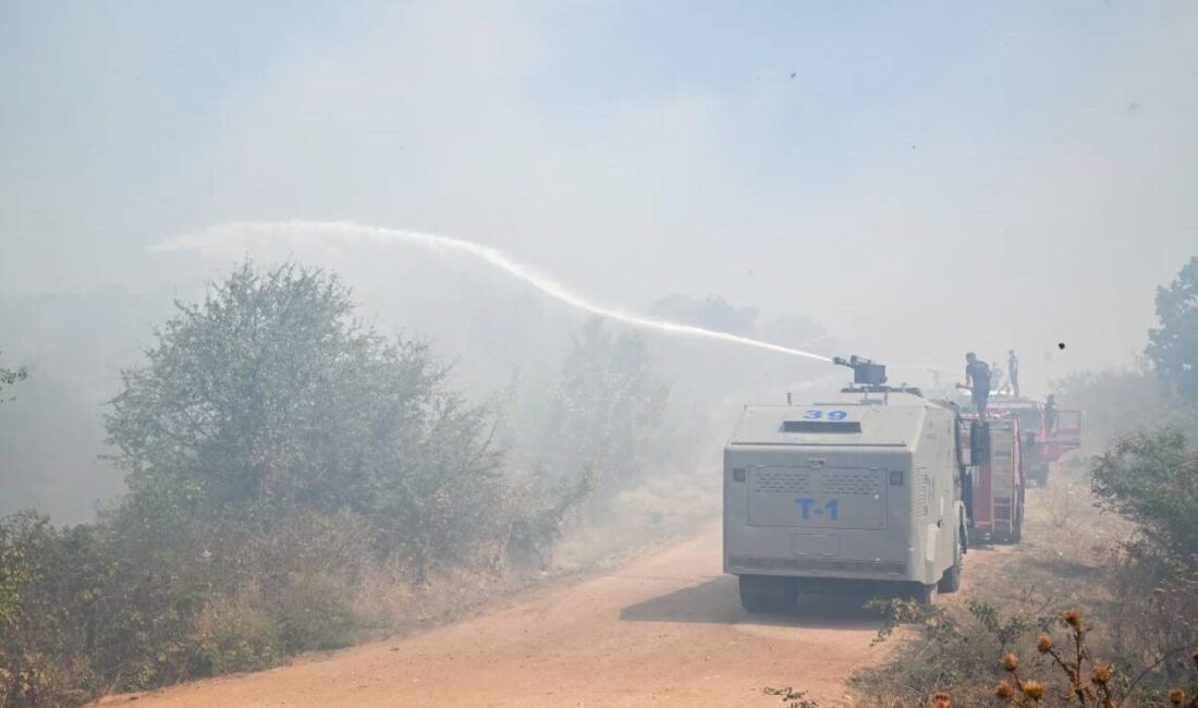 Kırklareli’nde tarlada çıkıp ormanlık alana sıçrayan yangın büyümeden söndürüldü. Alınan