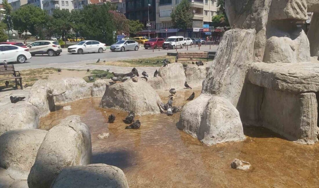 Sıcak havanın etkili olduğu Kırklareli’nde cadde ve sokaklar boş kaldı.