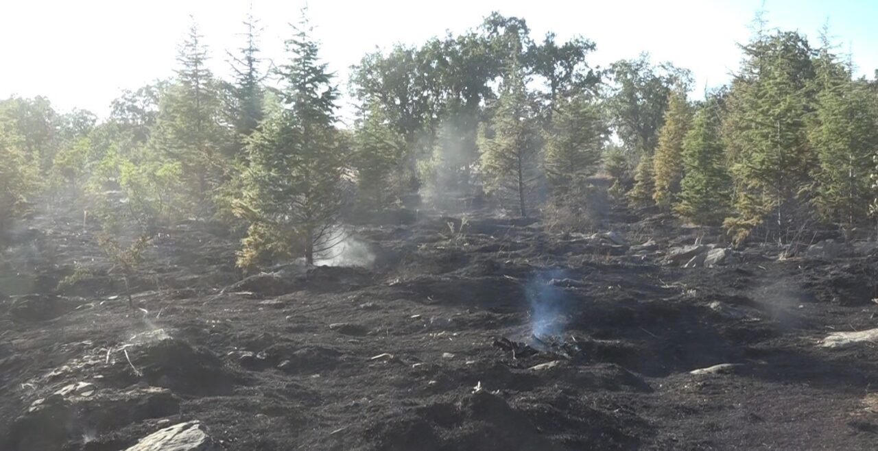 Kırklareli merkeze bağlı Yündalan köyünde çıkan orman yangını kontrol altına