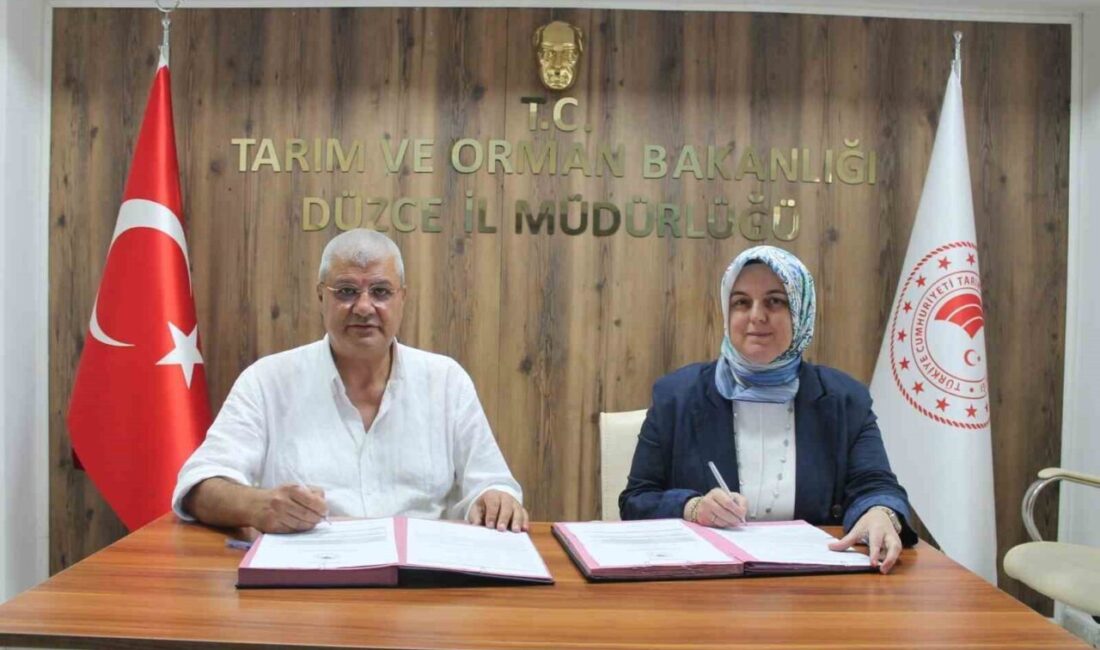 DÜZCE(İHA) – Düzce’de kırsal kalkınma yatırımlarının desteklenmesi programı kapsamında fındık