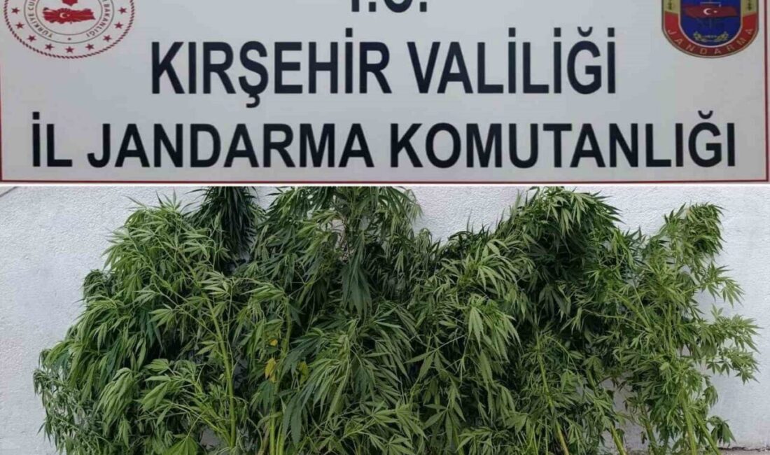 KIRŞEHİR (İHA) – Kırşehir’de jandarma ekiplerinin düzenlediği operasyonda, yasa dışı
