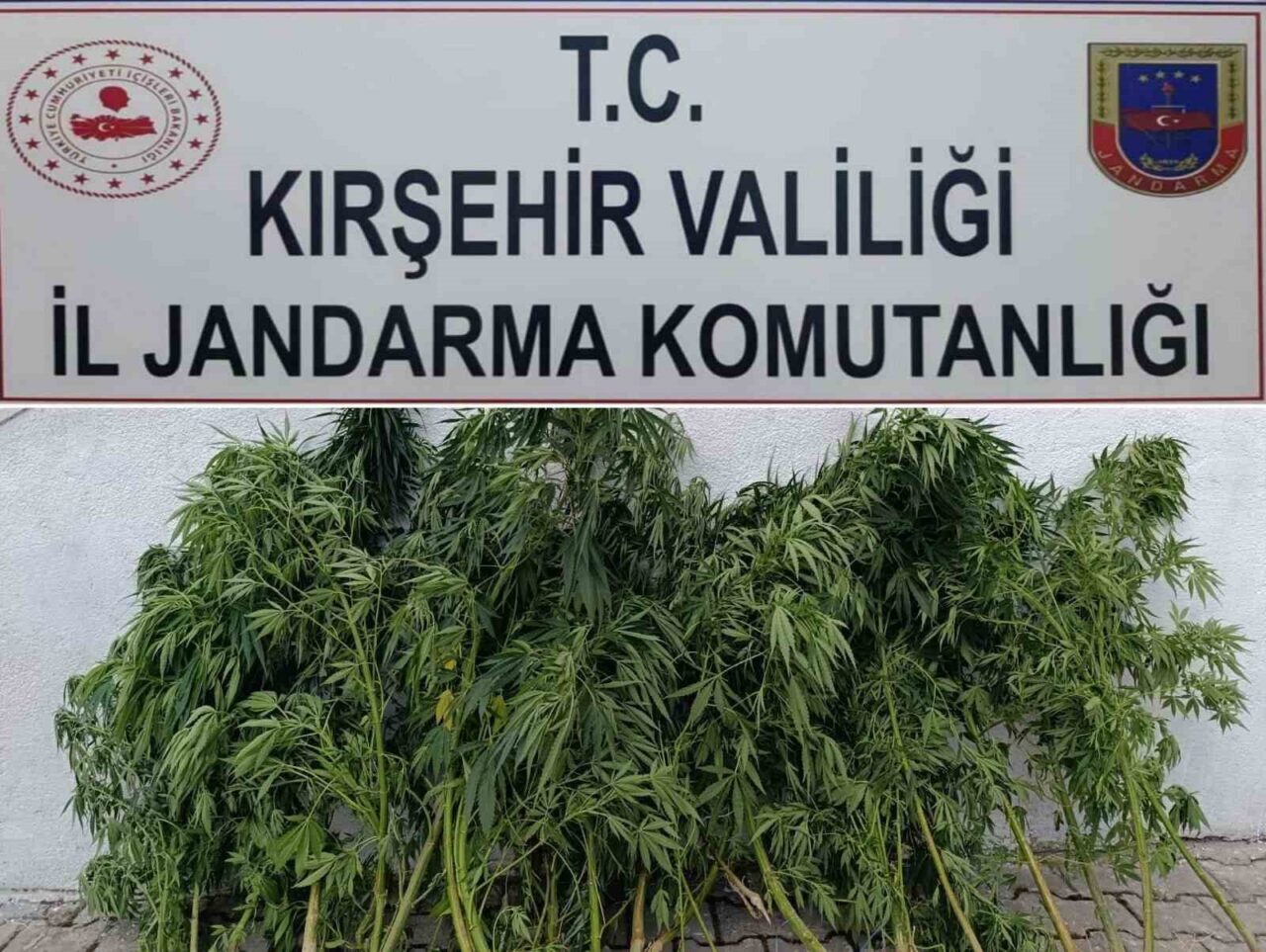KIRŞEHİR (İHA) – Kırşehir’de jandarma ekiplerinin düzenlediği operasyonda, yasa dışı